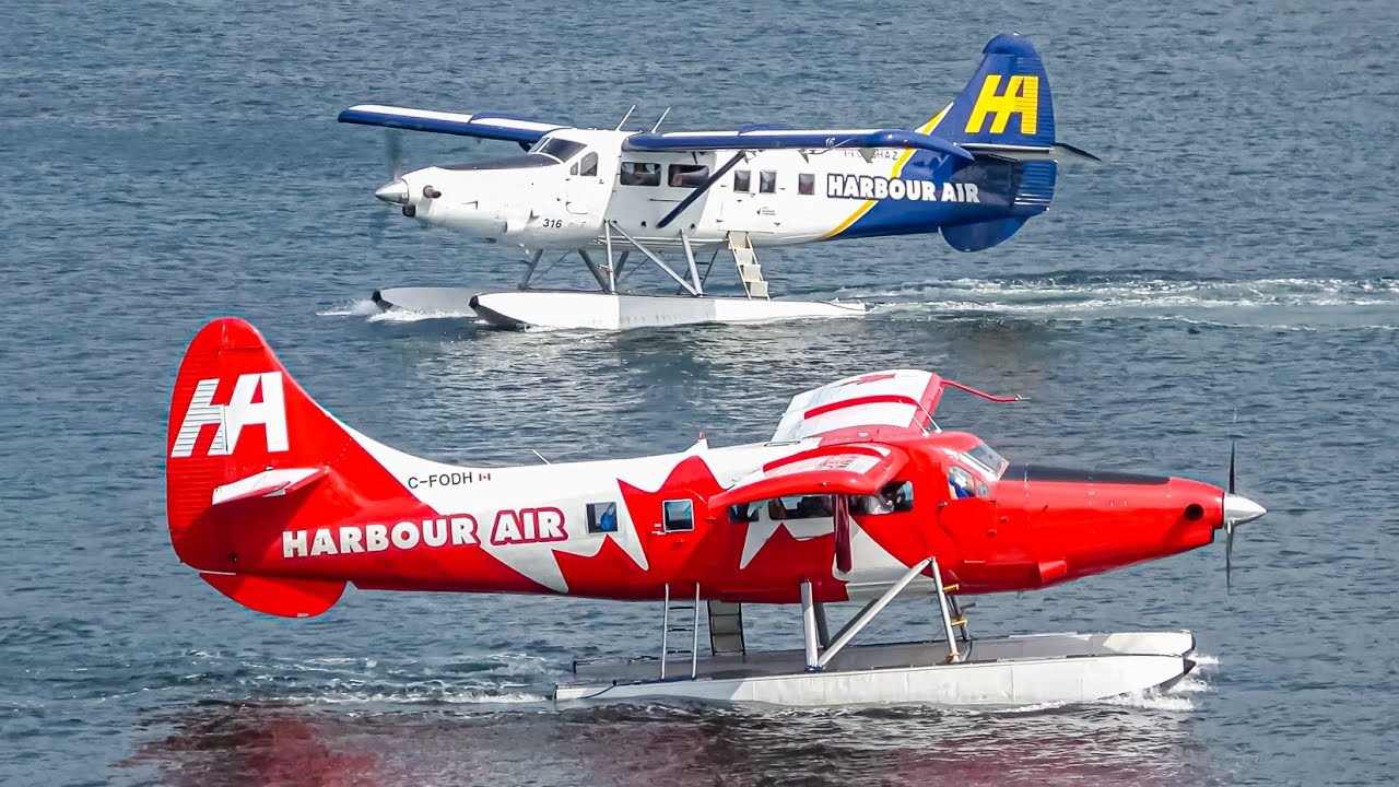 (4K) This Place is PACKED with Seaplanes! Plane Spotting day at Vancouver Harbour (CXH/CHYC)