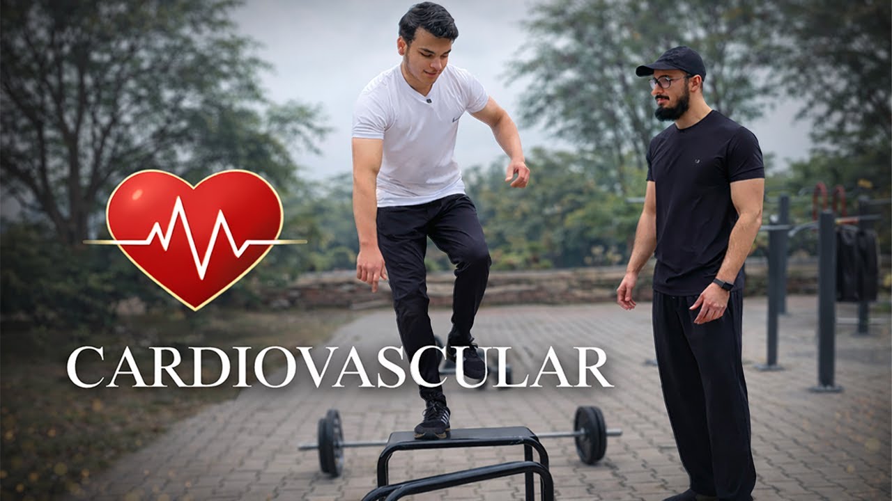 Base: Strength Didn't Failed You - Cardiovascular Fitness