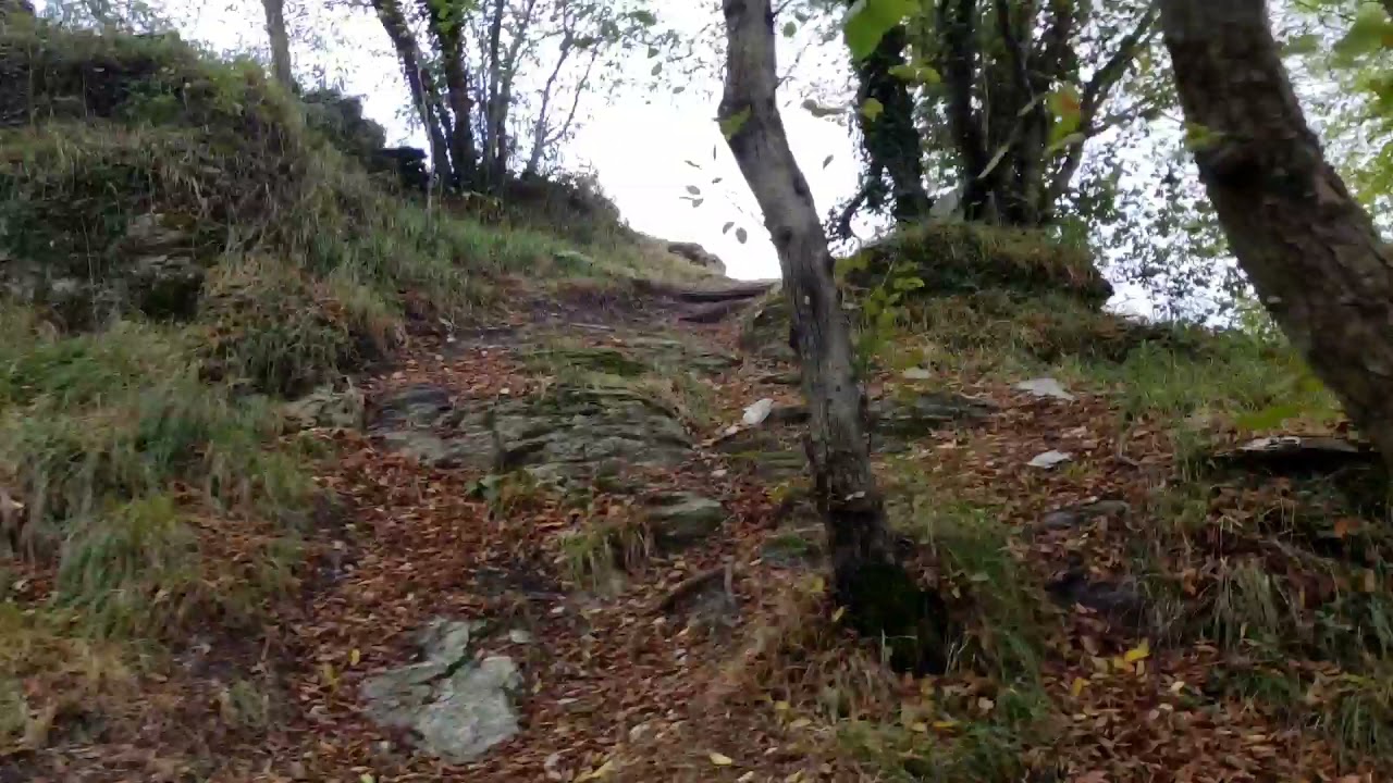 fpvHD flying nearby, Cornua