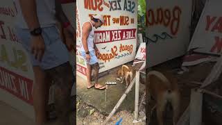 This Man Fed a Hungry Dog 🐶❤️ #shorts #usashorts
