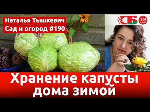 Как хранить капусту в домашних условиях зимой