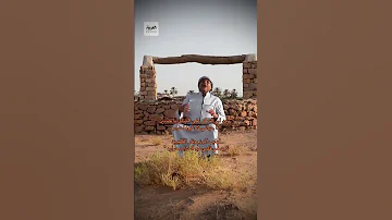 زودلي السكر على الشاي يحسين الزعاق 