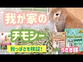 うさぎ様【No,61】粉っぽい我が家のチモシーを検証！！チモシーを探している方必見！！（メーカー様の批判動画ではありません！！）