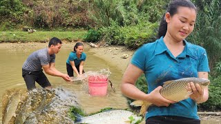 Sinh helped Tho harvest fish in the pond to have money to get tested again by Lưu Sinh  28,240 views 1 month ago 30 minutes