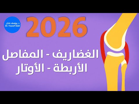 كل ما تحتاج معرفته عن الغضاريف والمفاصل والأربطة والأوتار من الألف للياء أحياء 3ث 2026