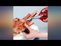 ARS SS380 Long Reach Bonsai Scissors review