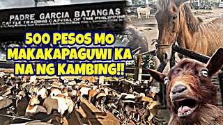 MURANG BILIHAN NG MGA HAYOP SA PADRE GARCIA BATANGAS| CATTLE CAPITAL OF THE PHILIPPINES! vlog#638