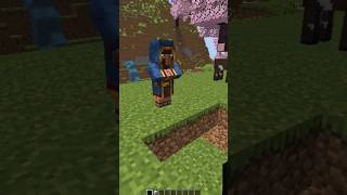 Minecraft every block fall damage #minecraft #shorts