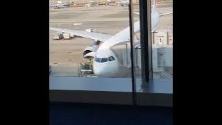 Singapore to Russia Journey #honeysdiary