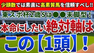 東京スポーツ杯2歳ステークス2020【絶対軸1頭】公開！少頭数の出世レースで穴狙いは危険！？重賞級の末脚を証明済みのアノ馬に注目！