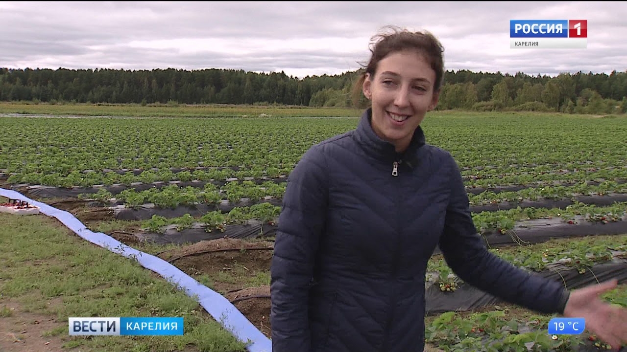 Фермерское хозяйство семьи Сосункевич из Прионежья
