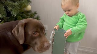 Cutest Reaction! Baby and Dog Opening First Christmas Gifts