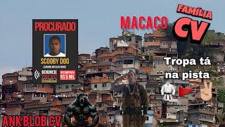 MC FHAEL - MORRO DOS MACACOS VERMELHOU | PROIBIDÃO 🚩