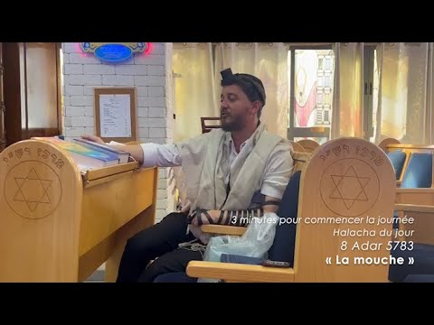 3MN DE TORAH POUR COMMENCER LA JOURNÉE - LA MOUCHE