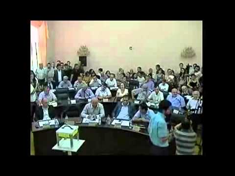 საკრებულოს დანიშნული მოადგილე