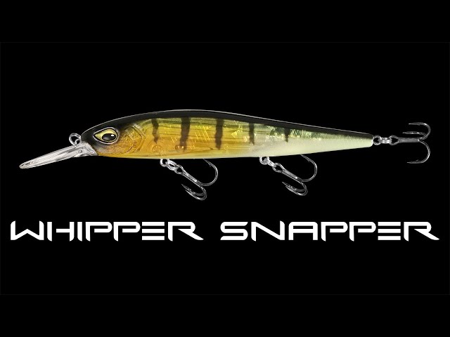 Whipper Snapper // ICAST 2020 