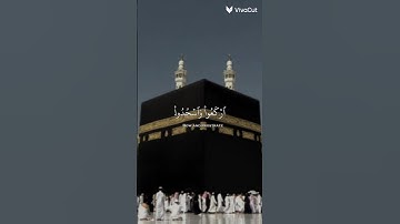يا ايها الذين امنوا اركعوا واسجدوا تلاوة خاشعة ❤️😇