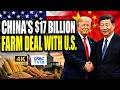 Trump-Xi Deal | China's Shopping Cart Now Includes American Farm Goods, 200 Boeing Jets | 4K | N18G