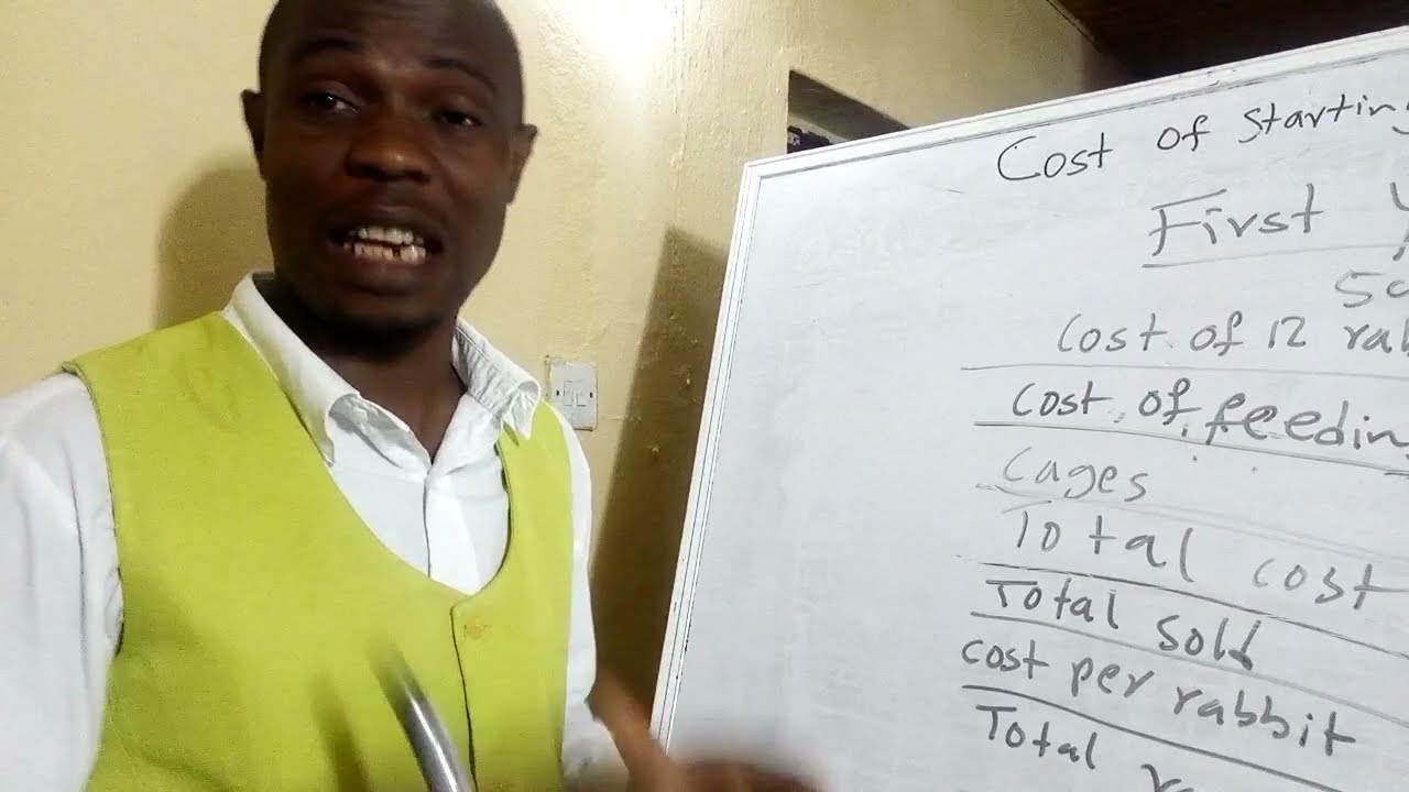 Rabbit farming: Cost of starting a rabbit farm in Nigeria