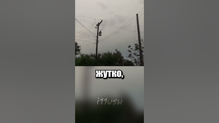 Арахнофобы будут в восторге