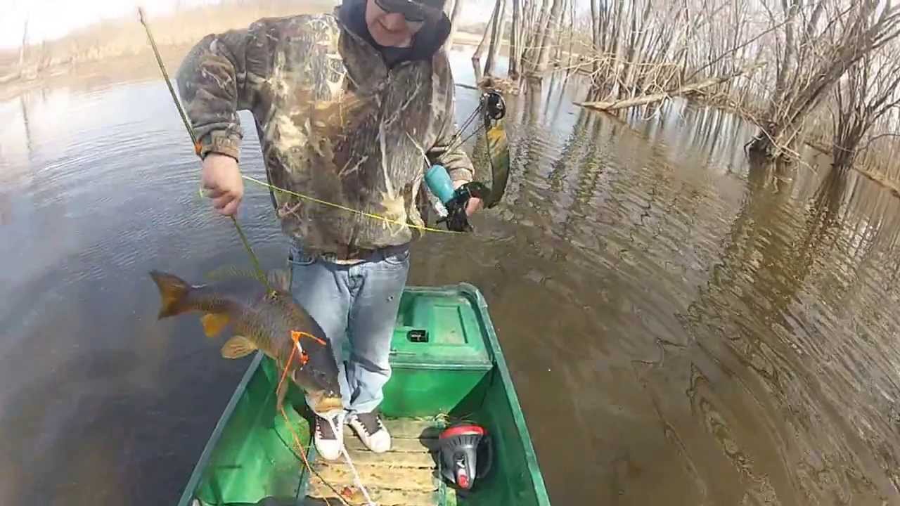 Wisconsin bowfishing 2013 YouTube