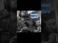 Barbaad | Saiyaara #guitar #cover #guitarcover #solo #jubinnautiyal #music #guitarist
