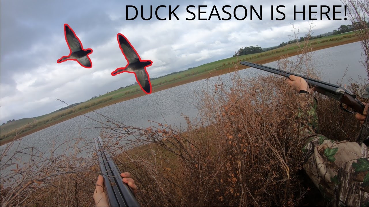 The FIRST HUNT for the 2022 DUCK SEASON! Willow County