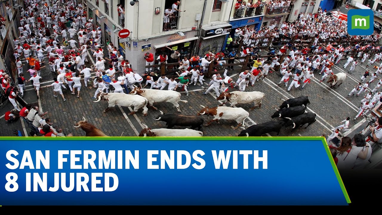 8 Injured in Final Bull Run at Spain’s San Fermin Festival | Pamplona Chaos