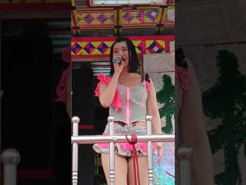 電子花車2