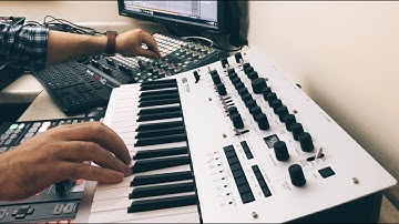Analog Dust - Korg Minilogue, Roland JP-08, TB-3, JUNO-106, Ableton Live, Maschine