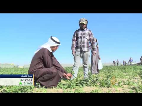 اقتصاد المنتصف 15/2/2016