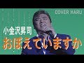 「おぼえていますか」小金沢昇司 cover HARU