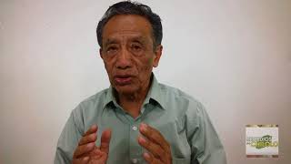 Para Que Sirve El Sauco - Propiedades, Beneficios Y Contraindicaciones Del Sauco