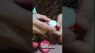 Cara makan manggis