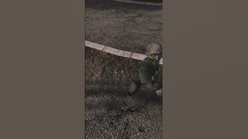 STALKER | THE KARLIK MUTANT