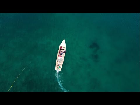 Beyond the Scale- Jamaican Short Documentary Film