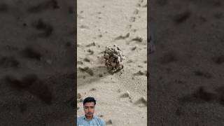 YA ALLAH YA RABBE MUSTUFA TU MUJHE HAJ P BULA #shorts #sorts #islam #islamic #trending