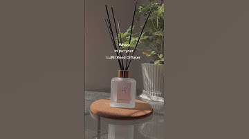Where to put your Reed Diffuser