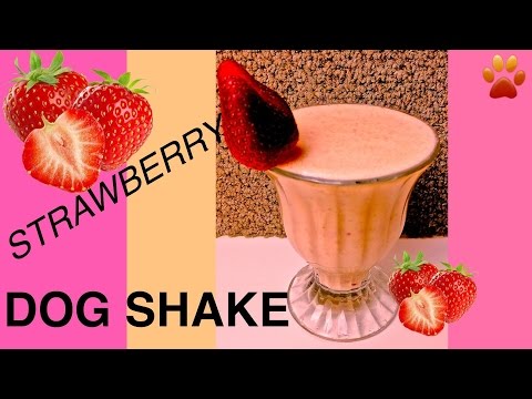 how-to-make-strawberry-banana-protein-dog-shake-smoothie-milk-shake-diy-dog-food-by-cooking-for-dogs