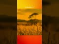 "River Boy" - Country Rap Guitar Sample (Prod. By @AmonMusic)