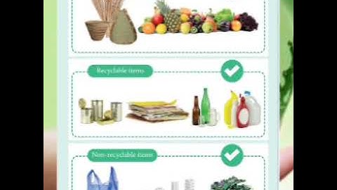 4th  STANDARD SCIENCE - GREEN ENVIRONMENT - III TERM - PART 3