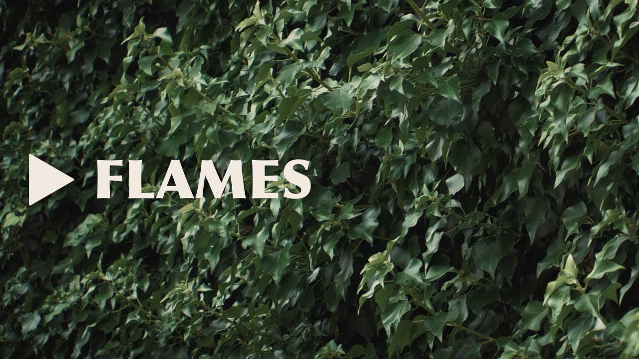 Ver Tale Chaser - Flames (Lyrics video) en YouTube Ver Tale Chaser - Flames (Lyrics video) en YouTube