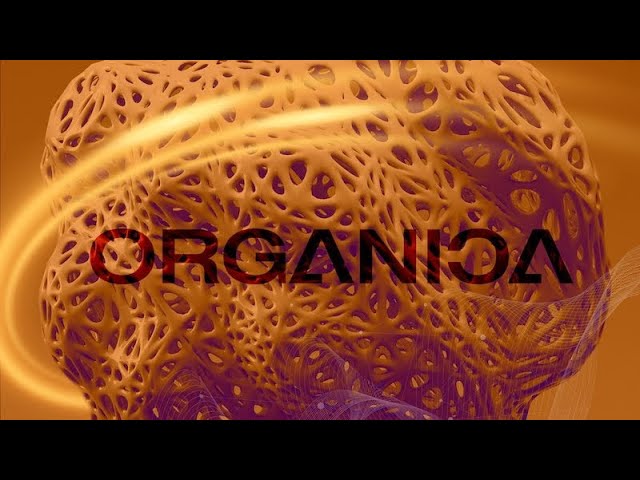 Organica by Dj Rocco