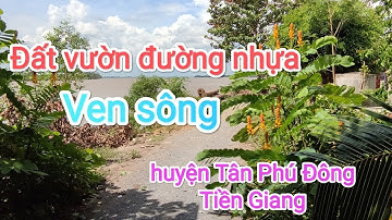 Tập 439♥Bán đất vườn ven sông, đường nhựa. Huyện Tân Phú Đông Tiền Giang.