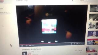 Dramatic Look Gopher Funny Animal