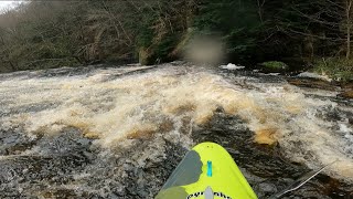 Bedburn Beck Hamsterley Forest