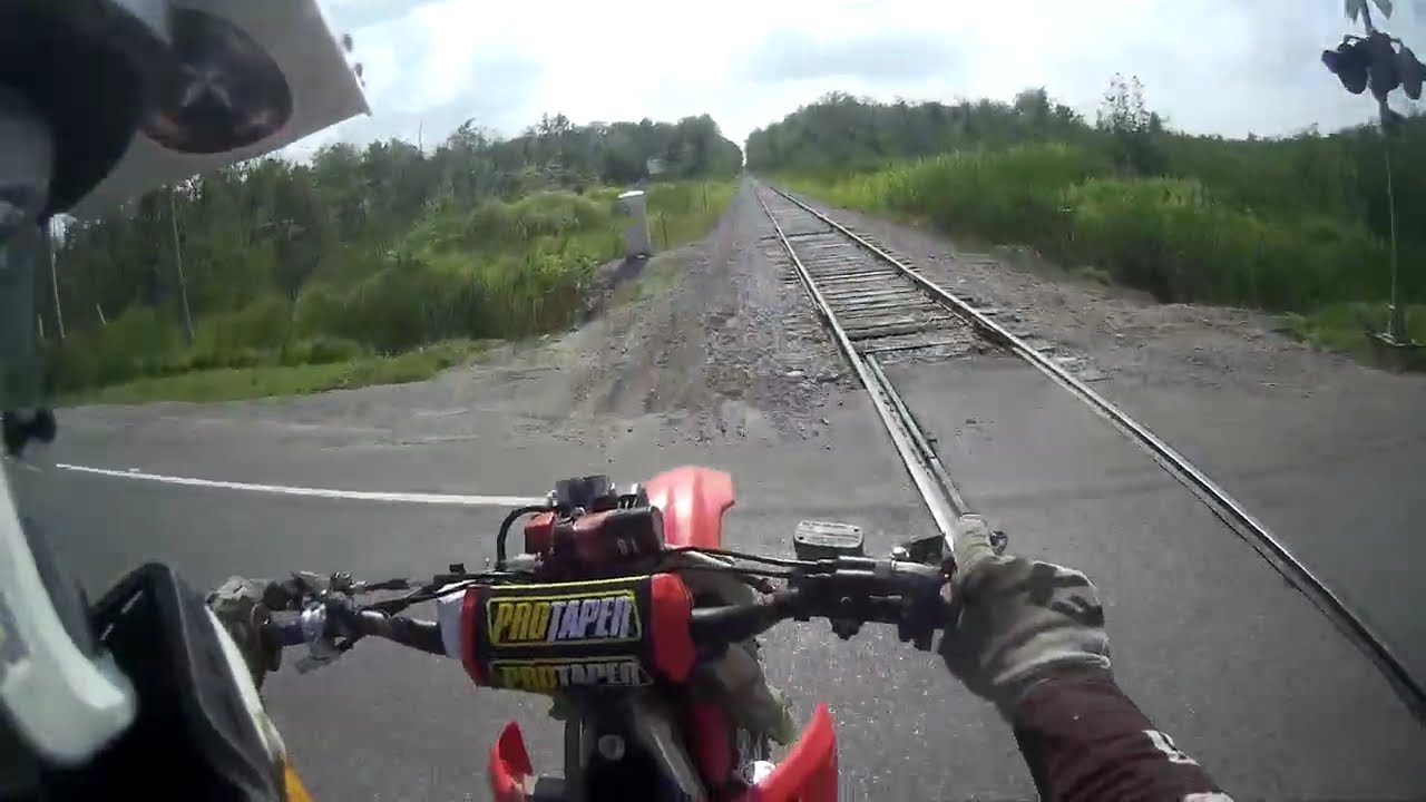 Thumpers story begins