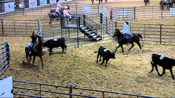 XL Smart Zeus - 10/8/11 sorting 46.25 on 5 head - Valley View Ranch