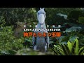 神戸どうぶつ王国【ハシビロコウ】10周年CM