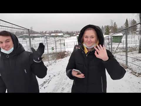 Video: Qayin Qoplamasi: Bu Nima? Karelian Va Oddiy Qayin Qoplamasi, Uni Ishlab Chiqarish, Eko-buyumlar Va Boshqa Mahsulotlar, GOST